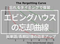 【英単語/長期記憶のコツ】エビングハウスの忘却曲線で復習のタイミングを管理
